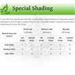 SPECIAL SHADING SOLUTION